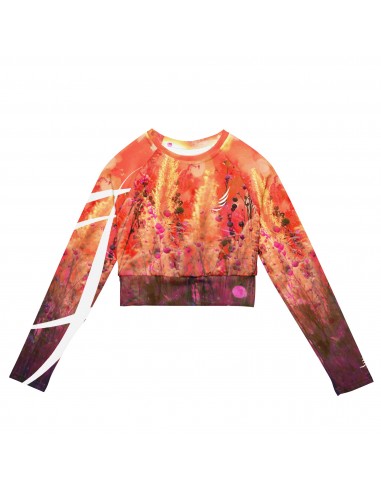 "Angelic Glow" long-sleeve crop top france