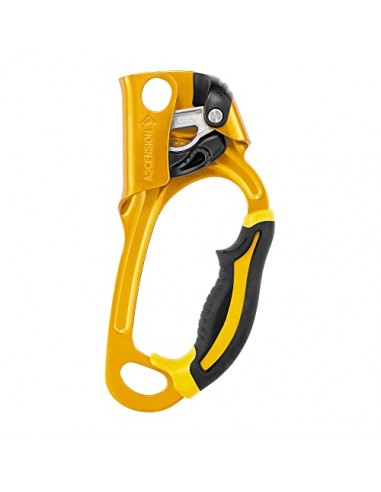 Petzl Men's Ascension Ascender Right livraison gratuite